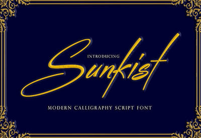The Creative Font Bundle - 34 Calligraphy Fonts - Artixty
