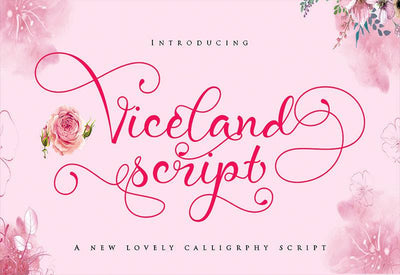 The Creative Font Bundle - 34 Calligraphy Fonts - Artixty