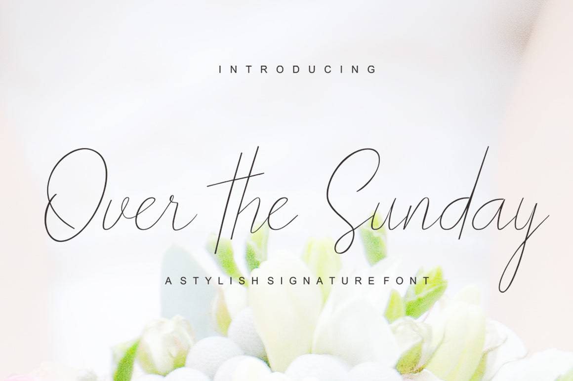 JossType's Exclusive Hand Written Fonts Collection - Artixty