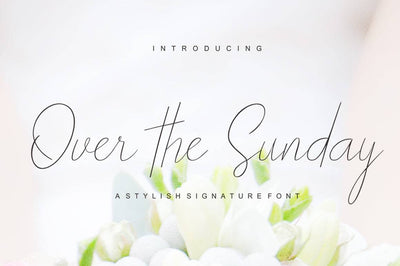JossType's Exclusive Hand Written Fonts Collection - Artixty