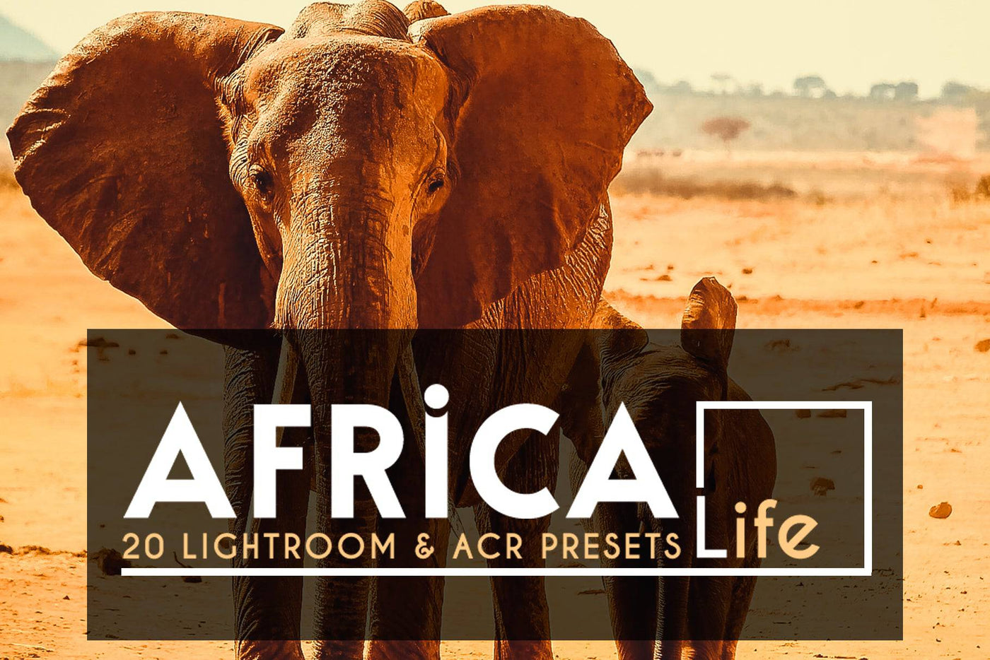 1200+ Sensational LR Presets & Camera Raw Bundle - Artixty