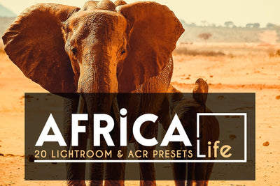 1200+ Sensational LR Presets & Camera Raw Bundle - Artixty
