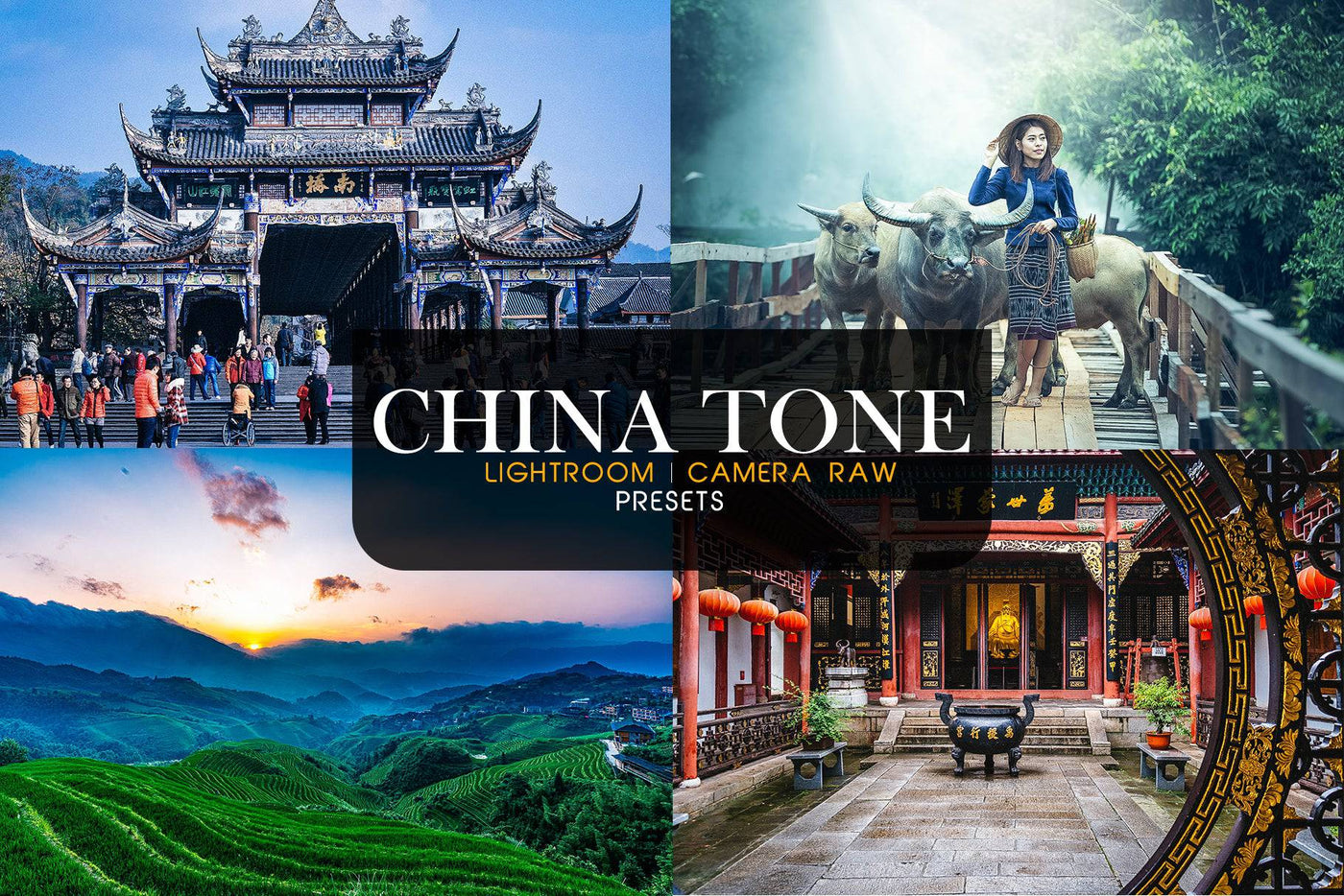 1200+ Sensational LR Presets & Camera Raw Bundle - Artixty