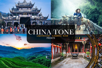 1200+ Sensational LR Presets & Camera Raw Bundle - Artixty