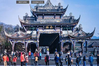 1200+ Sensational LR Presets & Camera Raw Bundle - Artixty