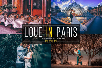 1200+ Sensational LR Presets & Camera Raw Bundle - Artixty