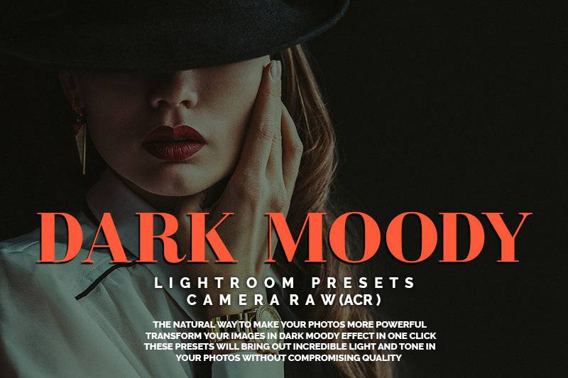 1200+ Sensational LR Presets & Camera Raw Bundle - Artixty