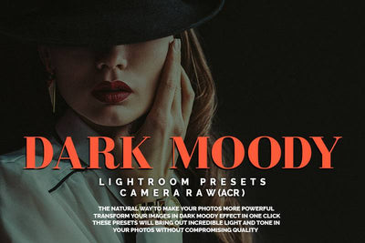 1200+ Sensational LR Presets & Camera Raw Bundle - Artixty