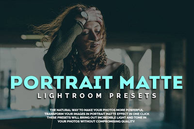 1200+ Sensational LR Presets & Camera Raw Bundle - Artixty