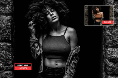 1200+ Sensational LR Presets & Camera Raw Bundle - Artixty