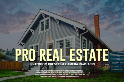 1200+ Sensational LR Presets & Camera Raw Bundle - Artixty