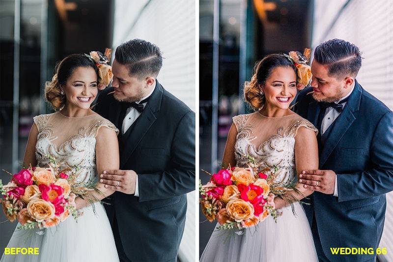 1200+ Sensational LR Presets & Camera Raw Bundle - Artixty