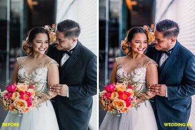 1200+ Sensational LR Presets & Camera Raw Bundle - Artixty