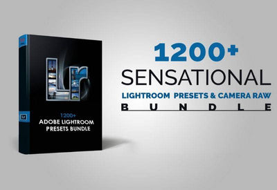 1200+ Sensational LR Presets & Camera Raw Bundle - Artixty