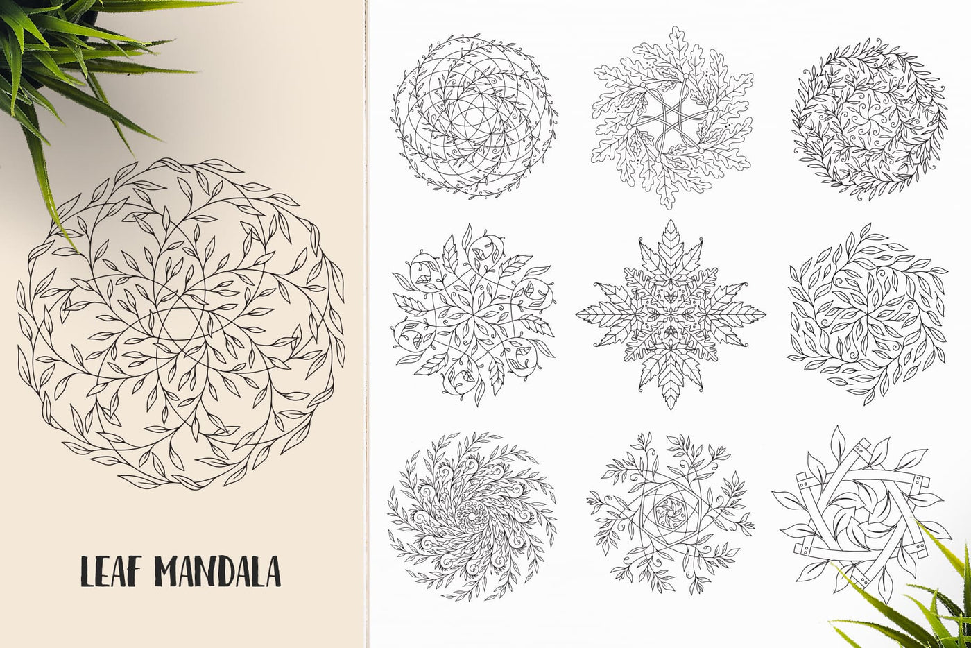 The Mandala Ornaments Bundle - 530 Vector Designs - Artixty
