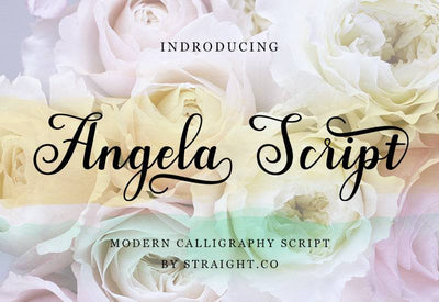 The 8 -In-1 Marvelous Calligraphy Fonts Bundle - Artixty