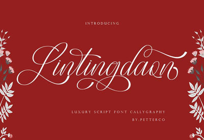 The Contemporary Font Bundle - 10 Modern Script Fonts - Artixty