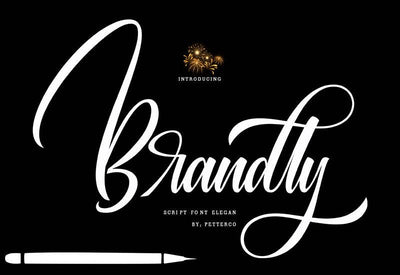 The Contemporary Font Bundle - 10 Modern Script Fonts - Artixty