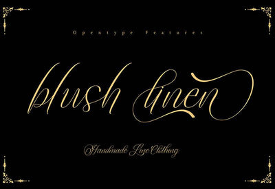The Contemporary Font Bundle - 10 Modern Script Fonts - Artixty