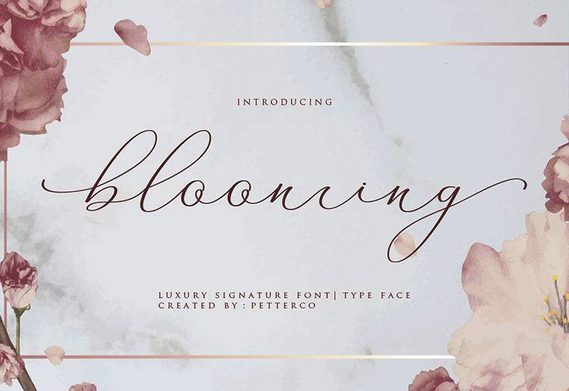 The Contemporary Font Bundle - 10 Modern Script Fonts | Artixty