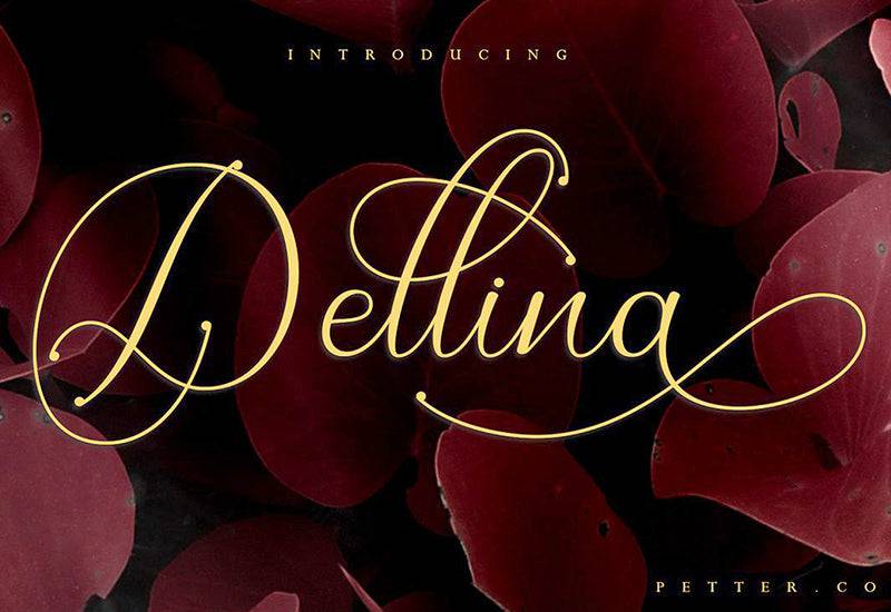 The Contemporary Font Bundle - 10 Modern Script Fonts - Artixty