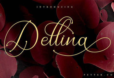 The Contemporary Font Bundle - 10 Modern Script Fonts - Artixty