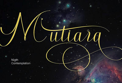 The Contemporary Font Bundle - 10 Modern Script Fonts - Artixty