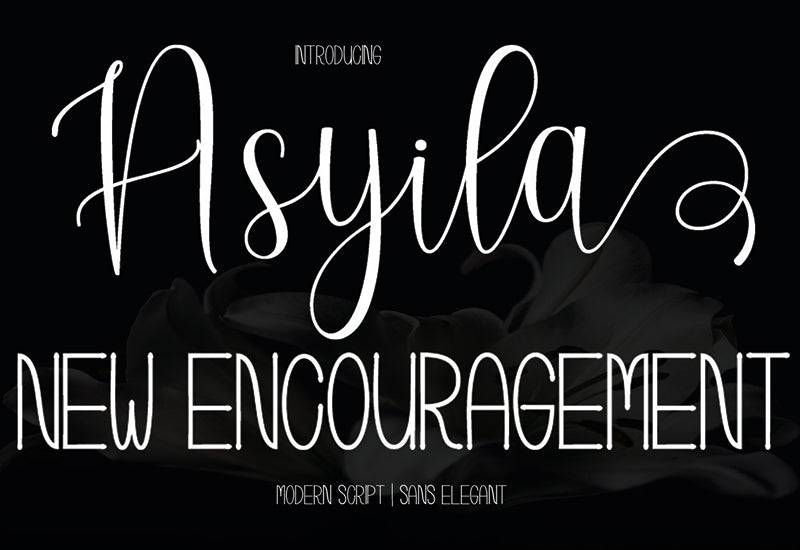 The Contemporary Font Bundle - 10 Modern Script Fonts - Artixty