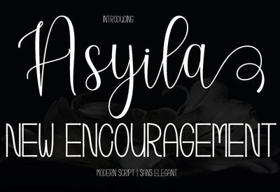 The Contemporary Font Bundle - 10 Modern Script Fonts - Artixty