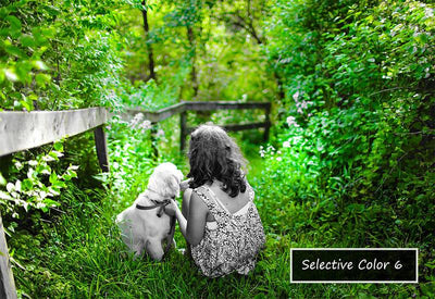 The Tokyo Lightroom And Photoshop Presets Bundle - Artixty