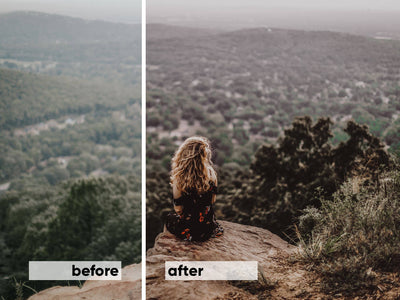 Huge Lightroom Preset Bundle - 300+ Presets - Artixty