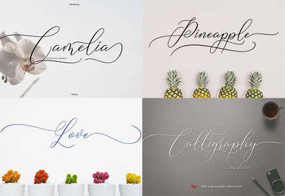 The Best Seller Fonts Bundle - 5 Cool Fonts - Artixty