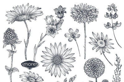 The Large Vector Flowers Bundle - 400+ Design Elements - Artixty