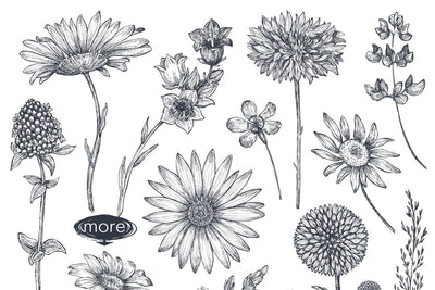 The Large Vector Flowers Bundle - 400+ Design Elements - Artixty