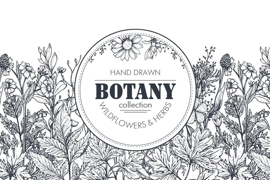 The Large Vector Flowers Bundle - 400+ Design Elements - Artixty