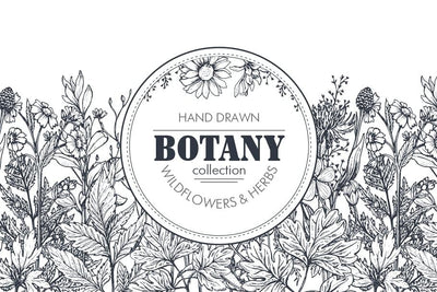 The Large Vector Flowers Bundle - 400+ Design Elements - Artixty