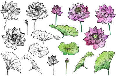 The Large Vector Flowers Bundle - 400+ Design Elements - Artixty