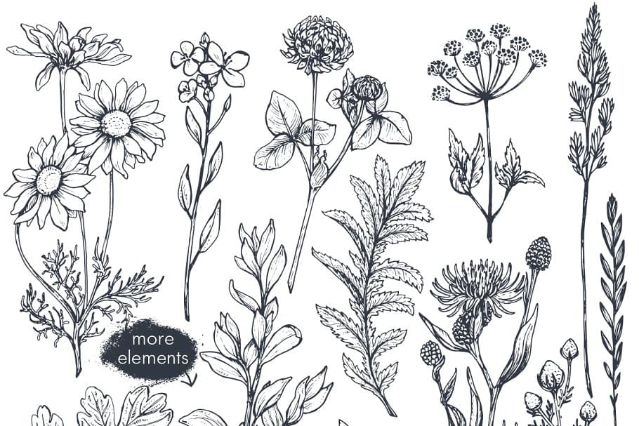 The Large Vector Flowers Bundle - 400+ Design Elements - Artixty