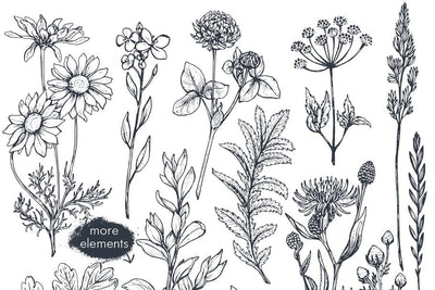 The Large Vector Flowers Bundle - 400+ Design Elements - Artixty