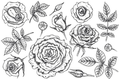 The Large Vector Flowers Bundle - 400+ Design Elements - Artixty
