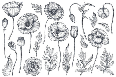 The Large Vector Flowers Bundle - 400+ Design Elements - Artixty