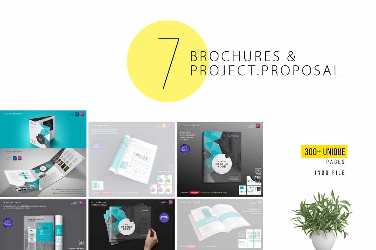 Entire Shop Presentation & Print Bundle  - 230+ Elements - Artixty
