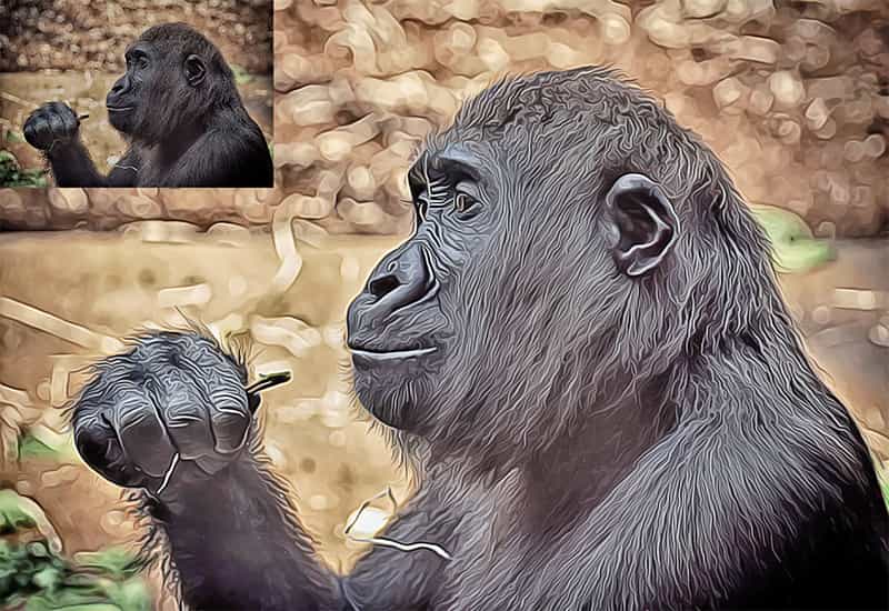 The Oil Canvas Photoshop Actions Bundle - Artixty