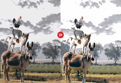 The Oil Canvas Photoshop Actions Bundle - Artixty