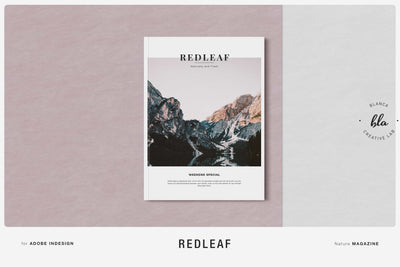 10 Fashionable Magazine Templates Bundle - Artixty