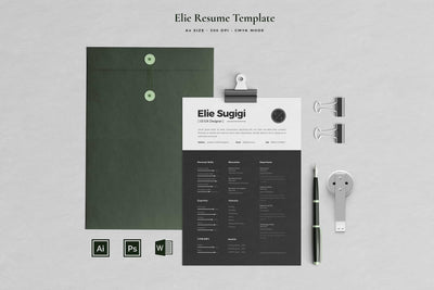 The Executive Resume Template Bundle - 19 Templates - Artixty