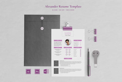 The Executive Resume Template Bundle - 19 Templates - Artixty