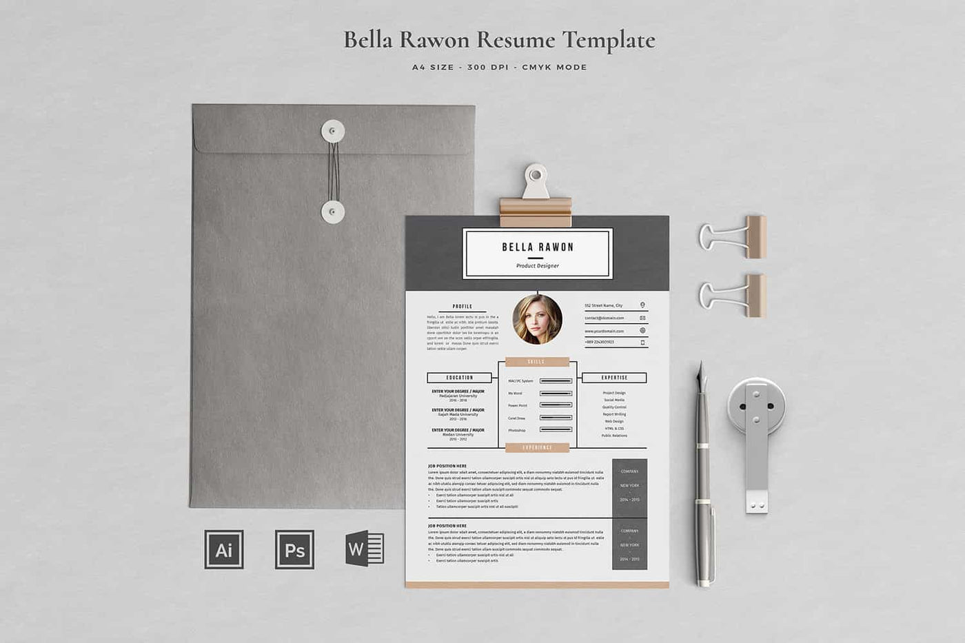 The Executive Resume Template Bundle - 19 Templates - Artixty