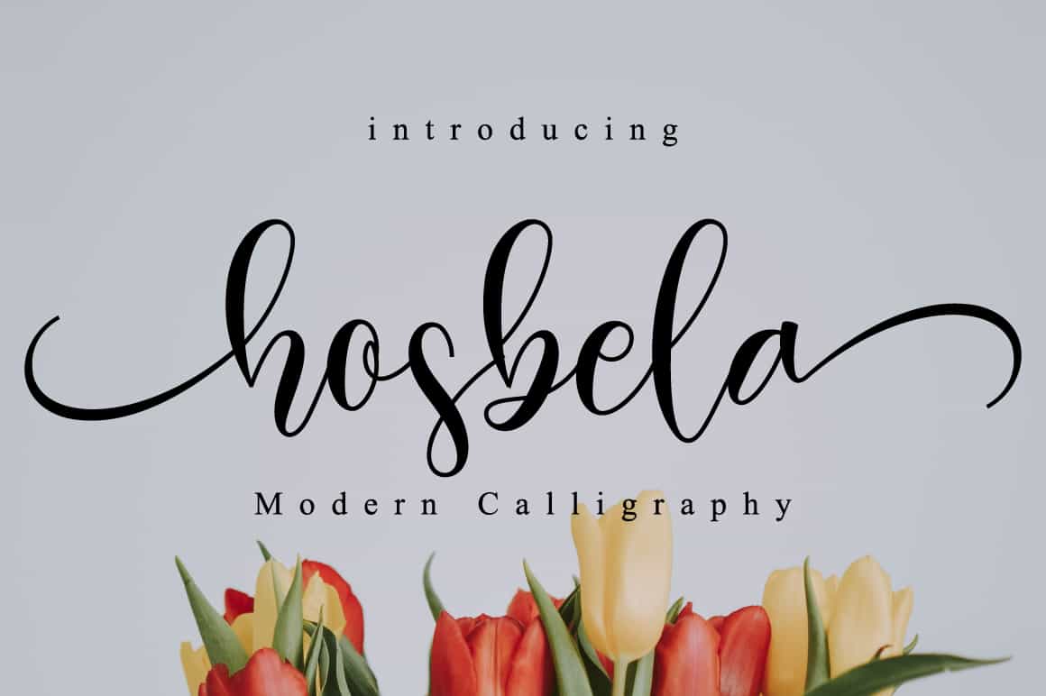 The Lovely Font Bundle - 41 Script Fonts - Artixty
