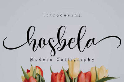 The Lovely Font Bundle - 41 Script Fonts - Artixty